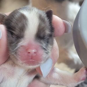 Meet your Posher, Kelli